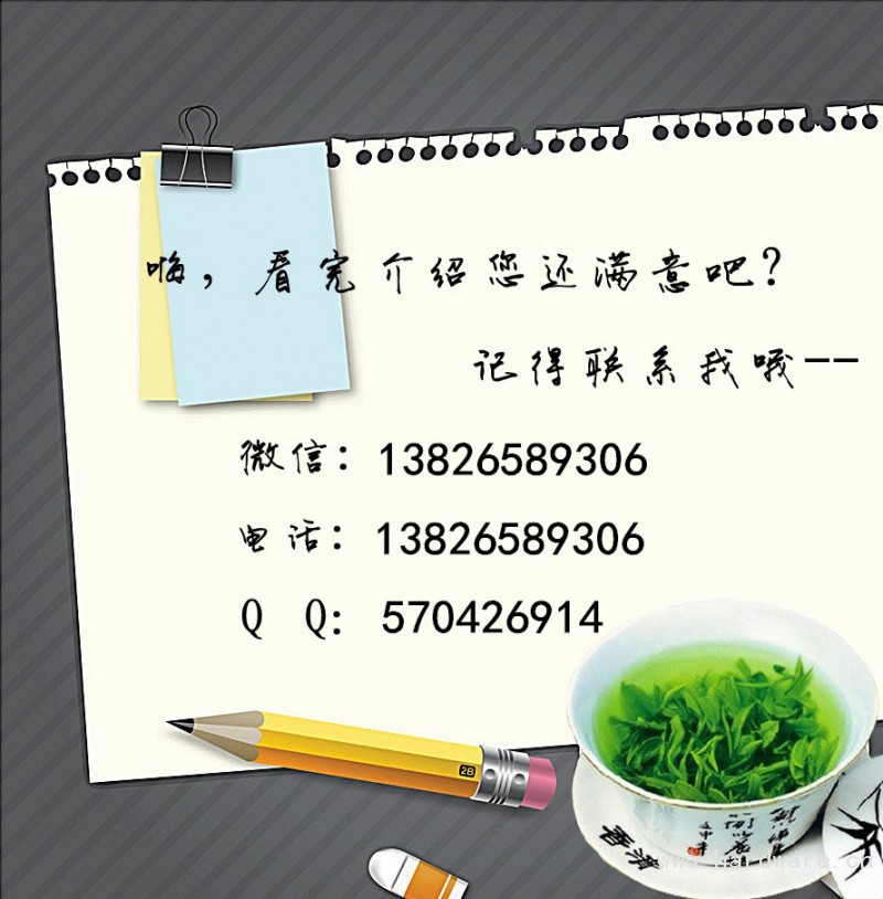 3005686087_2121325701