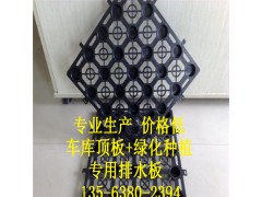 种植排水板@天津侧墙排水板【建筑工程排水板】图1