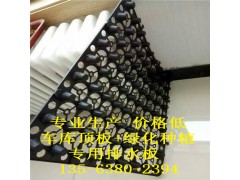 薄利多销【上海2.5蓄排水板】种植屋面专用排水板图1