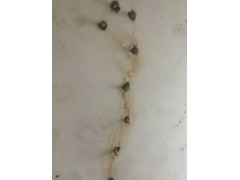 肇庆市鼎湖区福升地下灌浆防水补漏公司图1