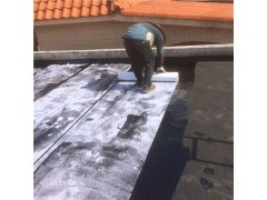 肇庆市高要市福升瓦面隔热建材防水防锈补漏公司图1