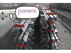 直销安徽芜湖160型模数伸缩装置{国标/合理报价}图1