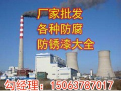 厂家直销防腐油漆涂料 特种快干防锈底漆 质量好价格低图1