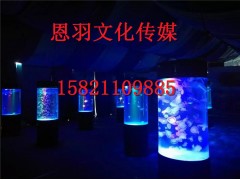 大型海洋生物展出租 海洋展出租清单方案图1