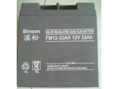 滨松蓄电池12V38AH内置电池UPS机器滨松FM12-38图1