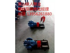 HSNH210-54润滑系统螺杆泵图1