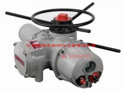 澳托克智能型电动执行机构IKM25图1