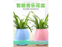 供应音乐花盆蓝牙音箱CE认证图1