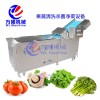 多功能洗菜机 网式连续清洗机 海产品清洗机 清洗设备