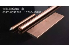 惠丰牌铜包钢接地扁钢  使用与场所的重大防雷接地工程呢图1