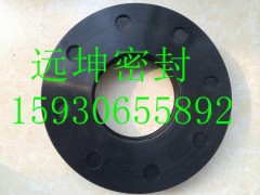 氟橡胶垫片 氟26橡胶垫片厂家图1
