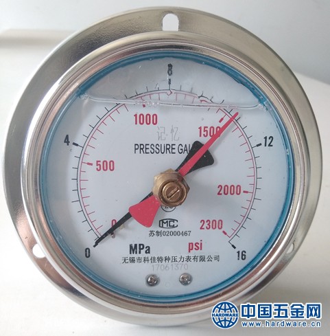 耐震记忆压力表6