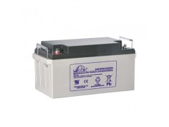 大连理士UPS蓄电池DJM1265S图1