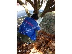 湖南喷泉长沙喜马拉雅音乐喷泉三珍虎园人造雾喷泉图1