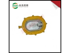 sw8100防爆泛光灯_尚为sw8100防震防爆灯图1