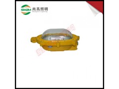 sw8101防爆泛光灯-尚为sw8101防爆无极灯图1
