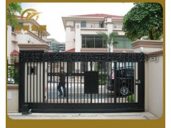 供应电动铁艺大门、电动大门、遥控铁艺门、平移门、别墅电动门图1