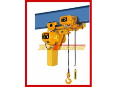 低净空环链电动葫芦 低净空环链电动葫芦价格  物美价廉图1