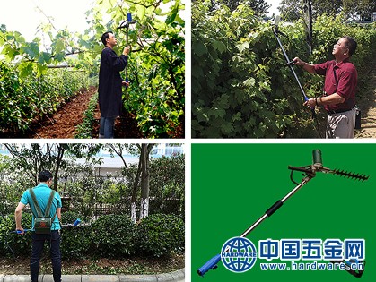 电动葡萄修枝机作业图