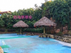 宁波茅草 宁波塑料茅草宽度多少？图1