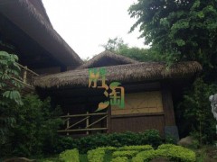 昆明人造茅草/昆明塑料茅草在哪销售?图1