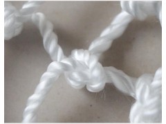 山东开拓网业供应建筑安全网（大眼网）图1