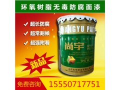 工厂直发环氧树脂防腐面漆 室内防腐面漆图1