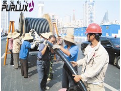 东莞凤岗工业变压器安装工程，东莞厂区变压器改造选紫光电气图1