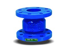 BV413铸铁无声式止回阀图1