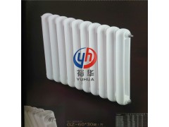 家用钢二柱暖气片壁挂式厂家直销 经济耐用 工艺先进图1