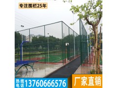 河源PVC包胶防护网 潮州学校田径场隔离网 肇庆球场围网图片图1