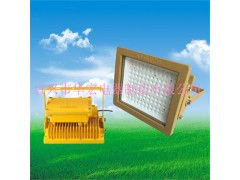 BAD808-L3 LED防爆泛灯 LED防爆路灯图1