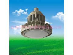 BAD808-M LED防爆灯20W 30W 40W 50W图1
