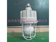 BAD83防爆无极灯GCD5011隔爆型防爆灯图1