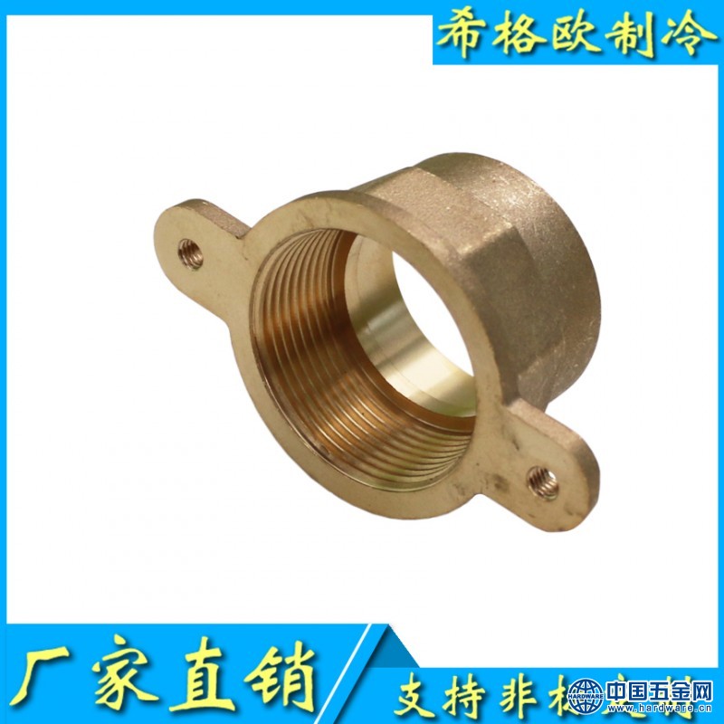 带耳朵承口内丝接头2