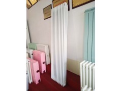 SCGZ315钢制暖气片@正宁SCGZ315钢制暖气片厂家图1