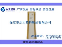 【高速U1蒙华电缆槽塑料模具】哪家好图1