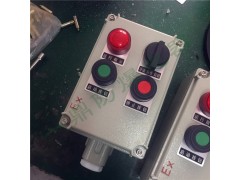 LBZ系列防爆操作柱图1