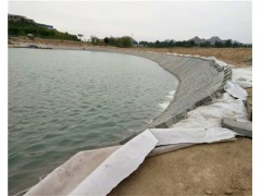 河道防渗600g复合土工膜价格图1