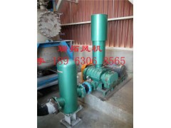 曝气罗茨风机规格型号图1