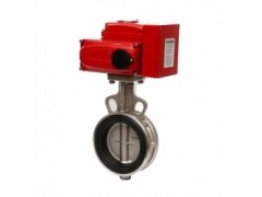 进口电动衬胶蝶阀图1