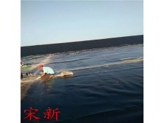 0.5mm鱼塘防渗膜一平米价格图1