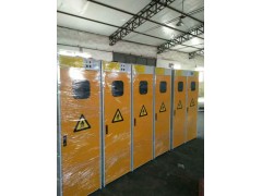 供应防爆双气瓶柜-信凯(北京)科技有限公司图1