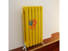 供应钢二柱暖气片A钢制散热器A厂家定制直销A质量保证图1