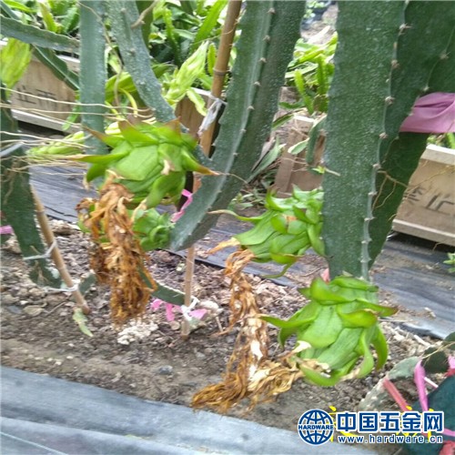 201888888888(2)mmexport1532843289704