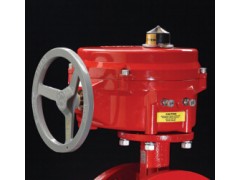 美国博雷S70电动执行器，进口电动执行器图1