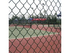 勾花护栏网 体育场护栏网 养殖网图1