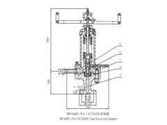 MFA49Y-P5414VDN20弹簧脉冲式安全阀（W）图1
