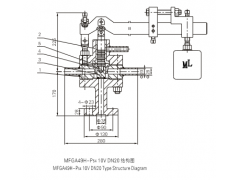 MFGA49H-P5410VDN20脉冲式安全阀（W）图1