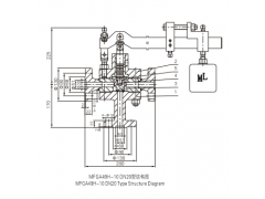 MFGA49H- 10  DN20脉冲式安全阀（W）图1